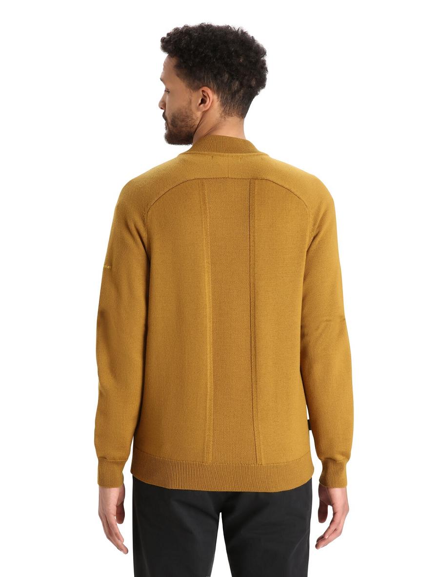 Sweat À Capuche Icebreaker City Label ZoneKnit™ Merino Insulated Knit Bomber Homme Marron | FR 1264MQZA